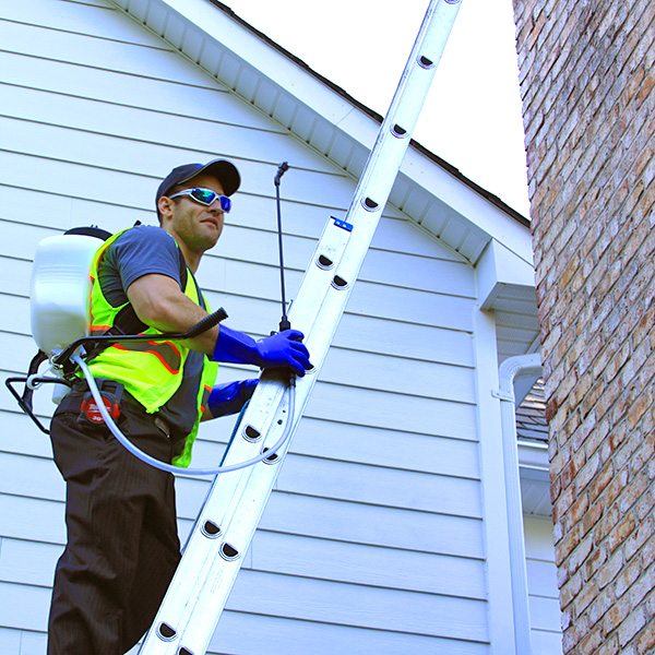 chimney water repellant, potomac md