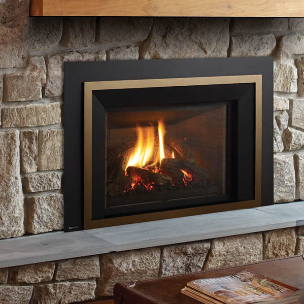 Regency Gas Fireplace Insert in Washington DC