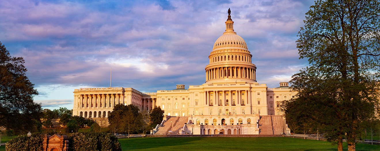 Leaky Chimney repair in Washington DC